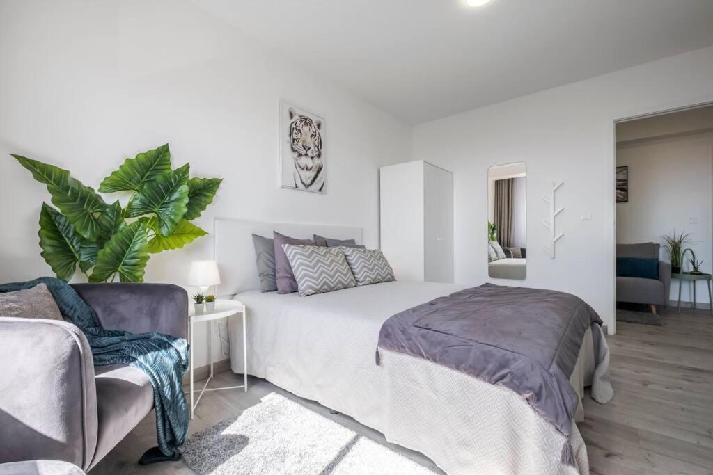 Super Platinum Apartman Funchal  Kültér fotó